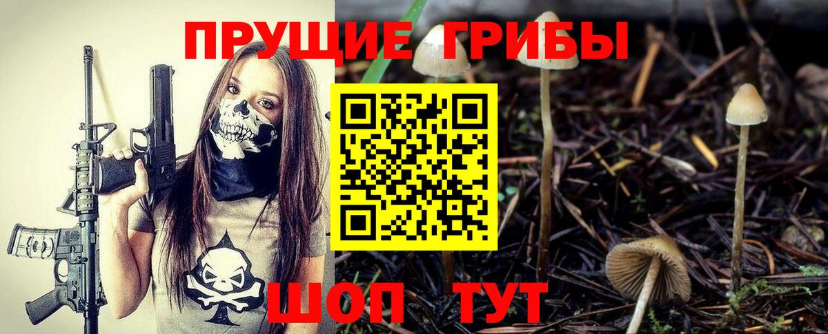 Галлюциногенные грибы MAGIC MUSHROOMS Кудымкар